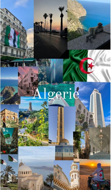 Conseils pratiques avant, pendant et après la location