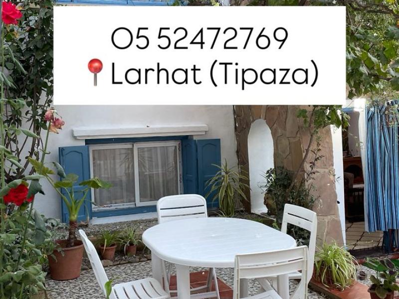 Location d'un duplex à Larhat-Tipaza.