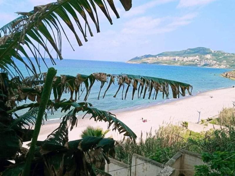 F3 à Tizi Ouzou